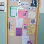 whatsapp-image-2026-01-05-at-3-04-11-pm